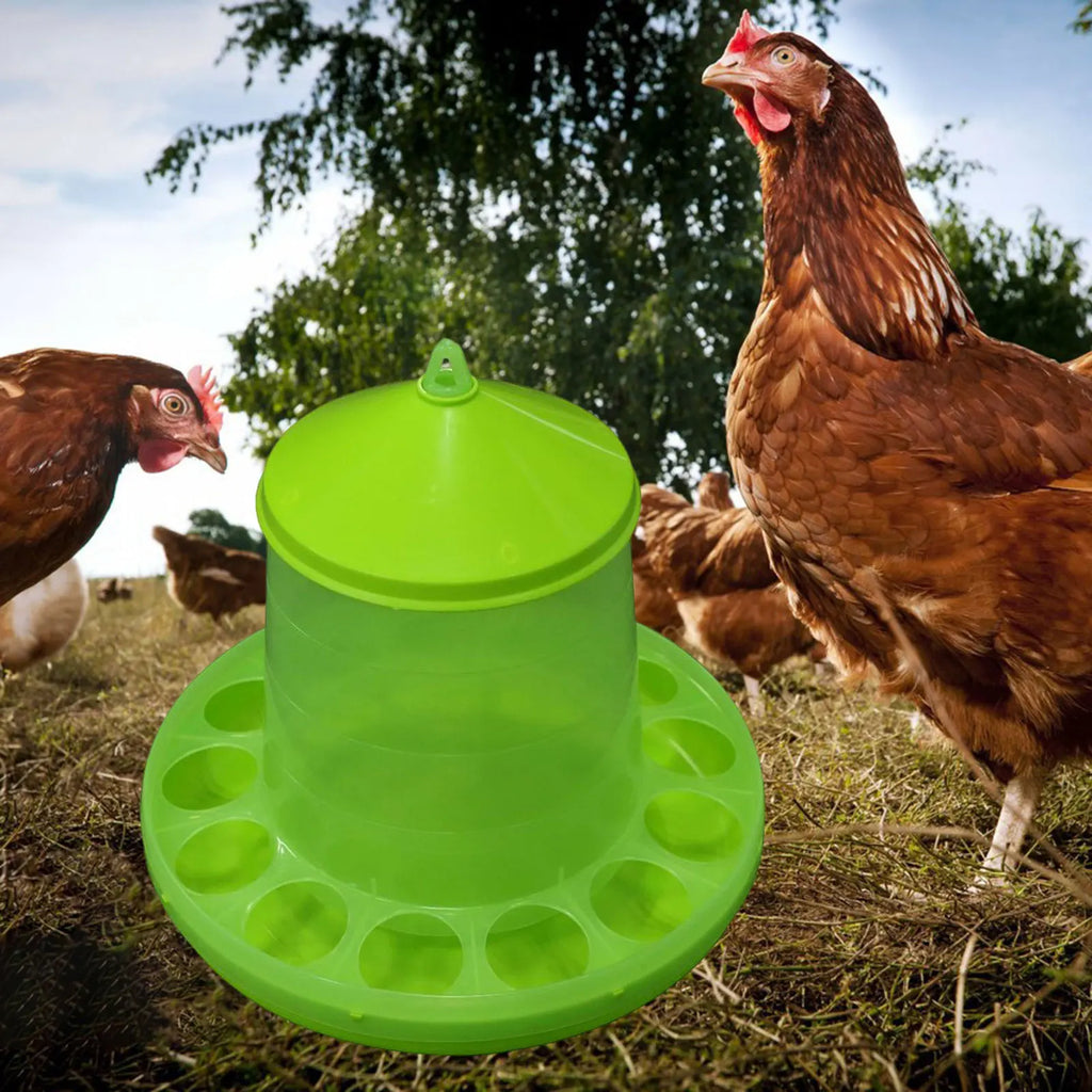 Cubo Alimentador Automático para Aves de Corral