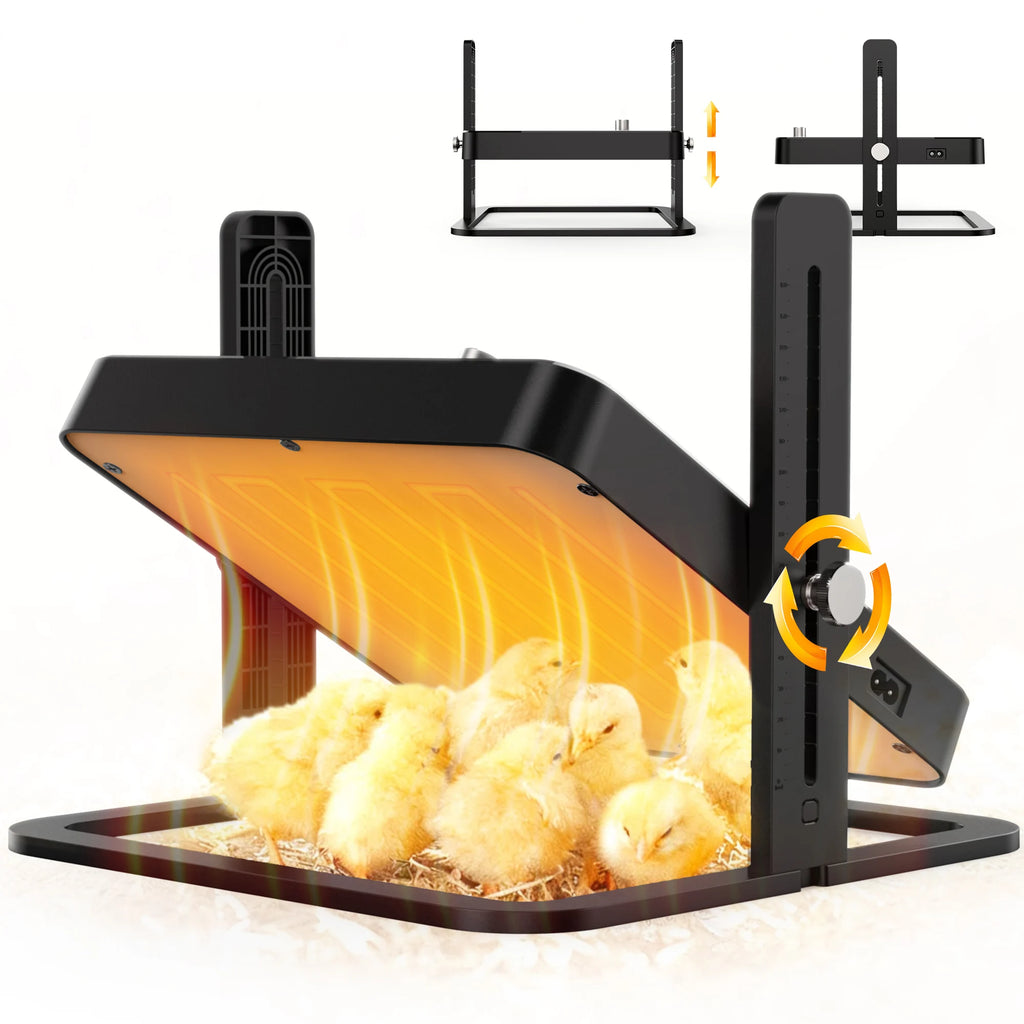 Placa Calefactora Ajustable para Pollitos con Control de Temperatura