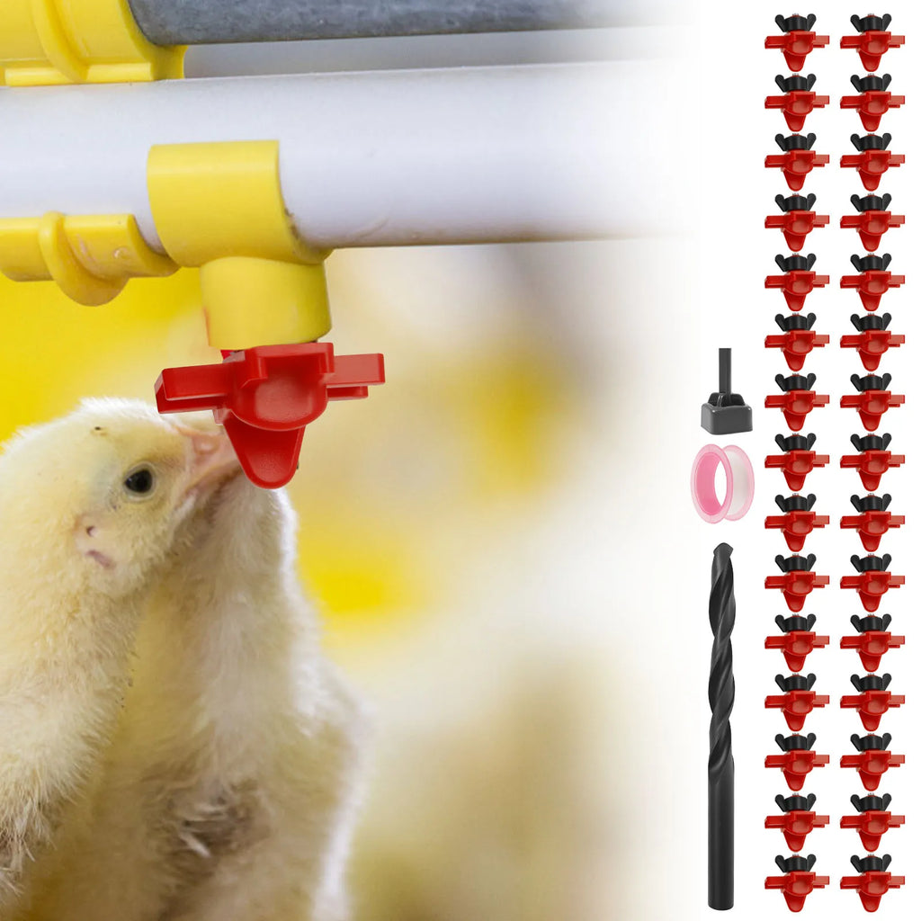 12Pcs Chicken Waterer Nipple Drinkers Quail Pigeon Bird Waterer Nipples Automatic Waters Spring Type Poultry Farming Equipment