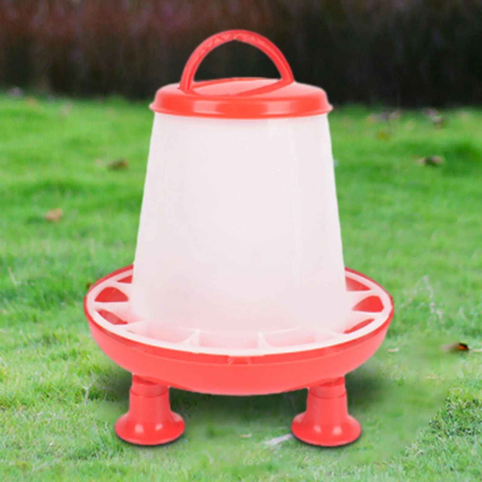 Chicken Feeder Bird Automatic Feeding Bucket Backyard Large Capacity Food Dispenser Pigeon Feeder for Parrot Quail Hen Duck