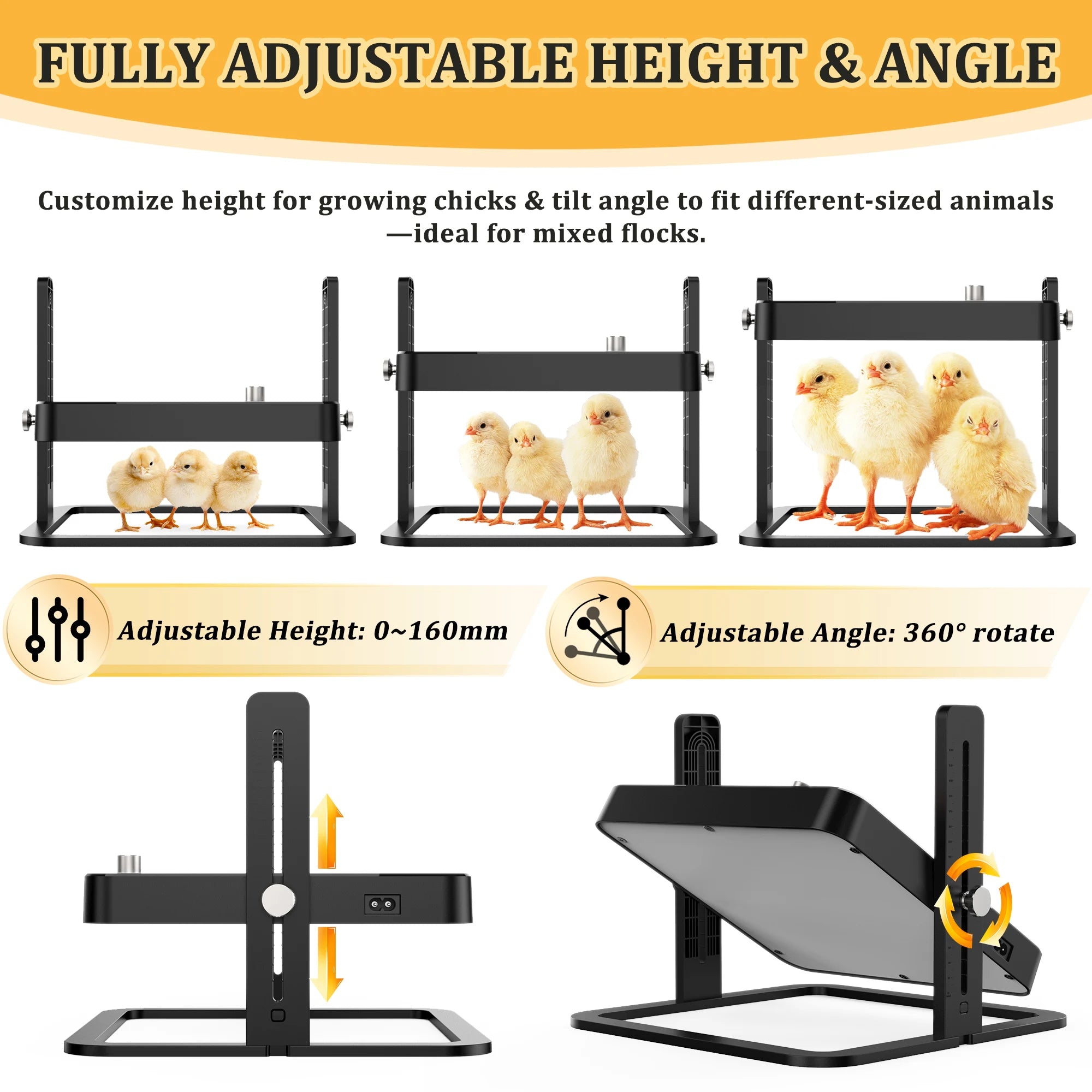 Placa Calefactora Ajustable para Pollitos con Control de Temperatura