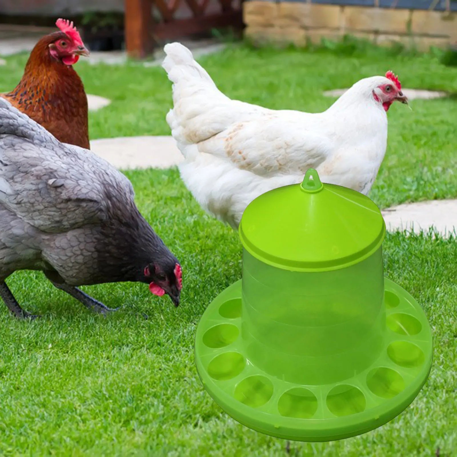 Cubo Alimentador Automático para Aves de Corral