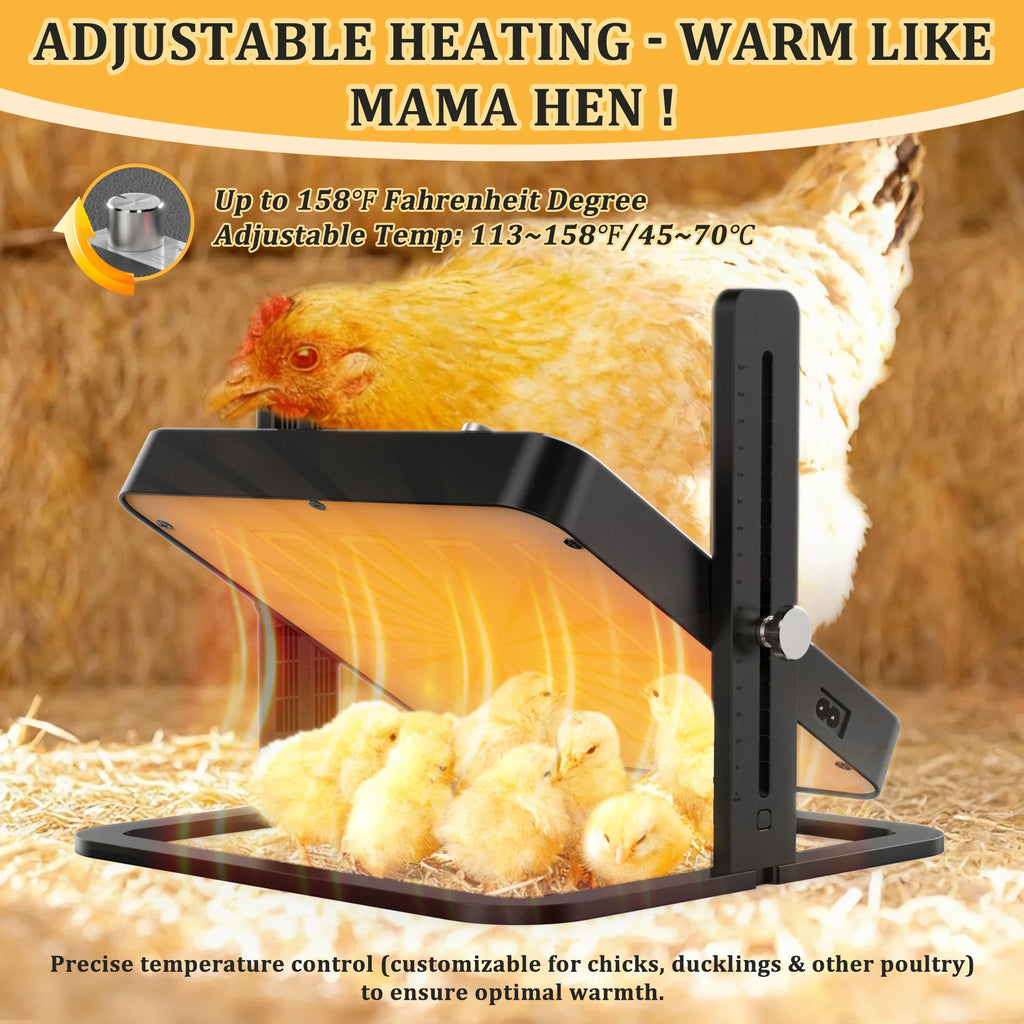 Placa Calefactora Ajustable para Pollitos con Control de Temperatura