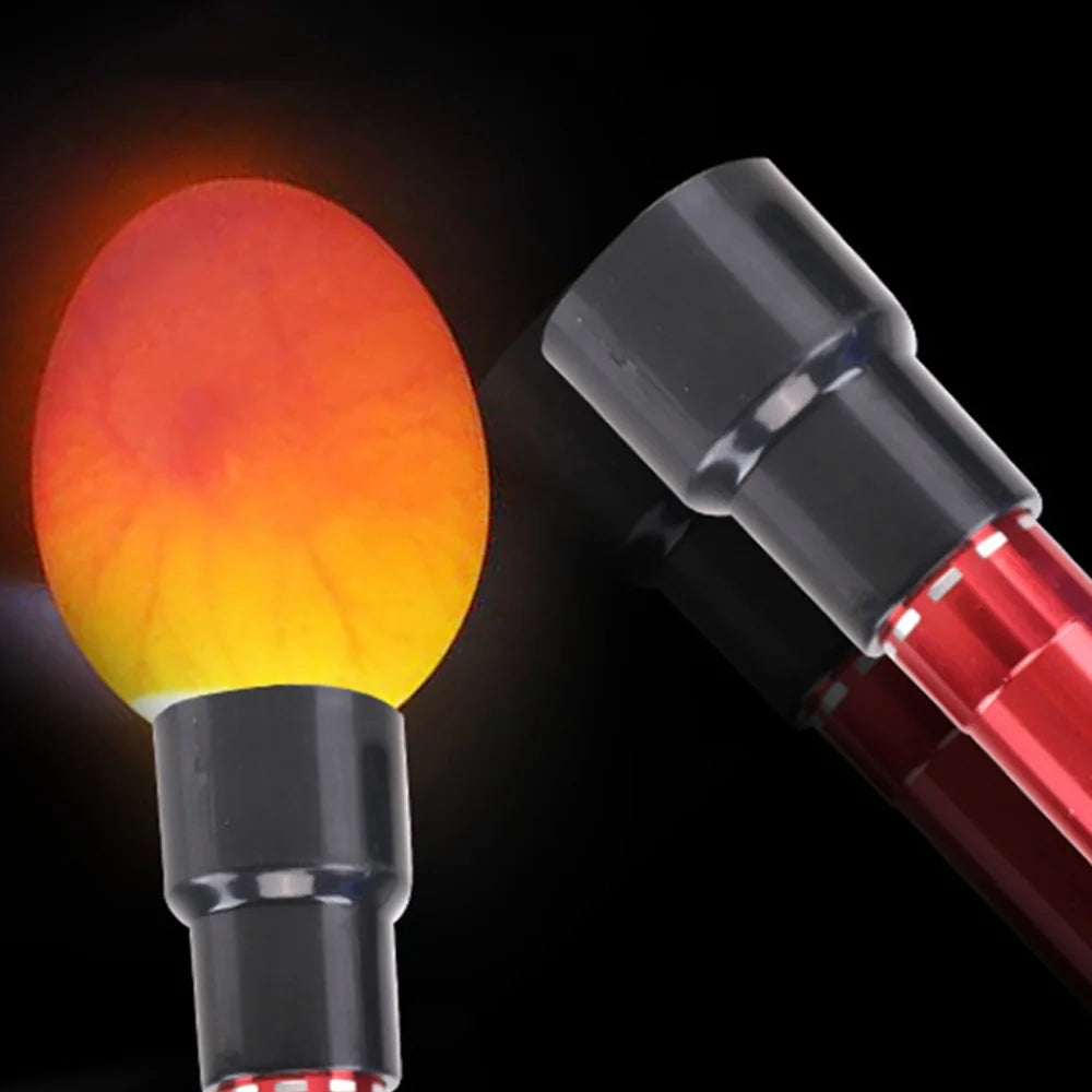 Linterna Ovoscopio 9 LED para Huevos de Gallina