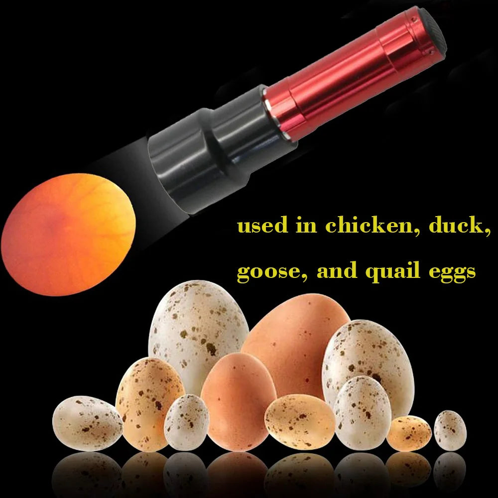 Linterna Ovoscopio 9 LED para Huevos de Gallina