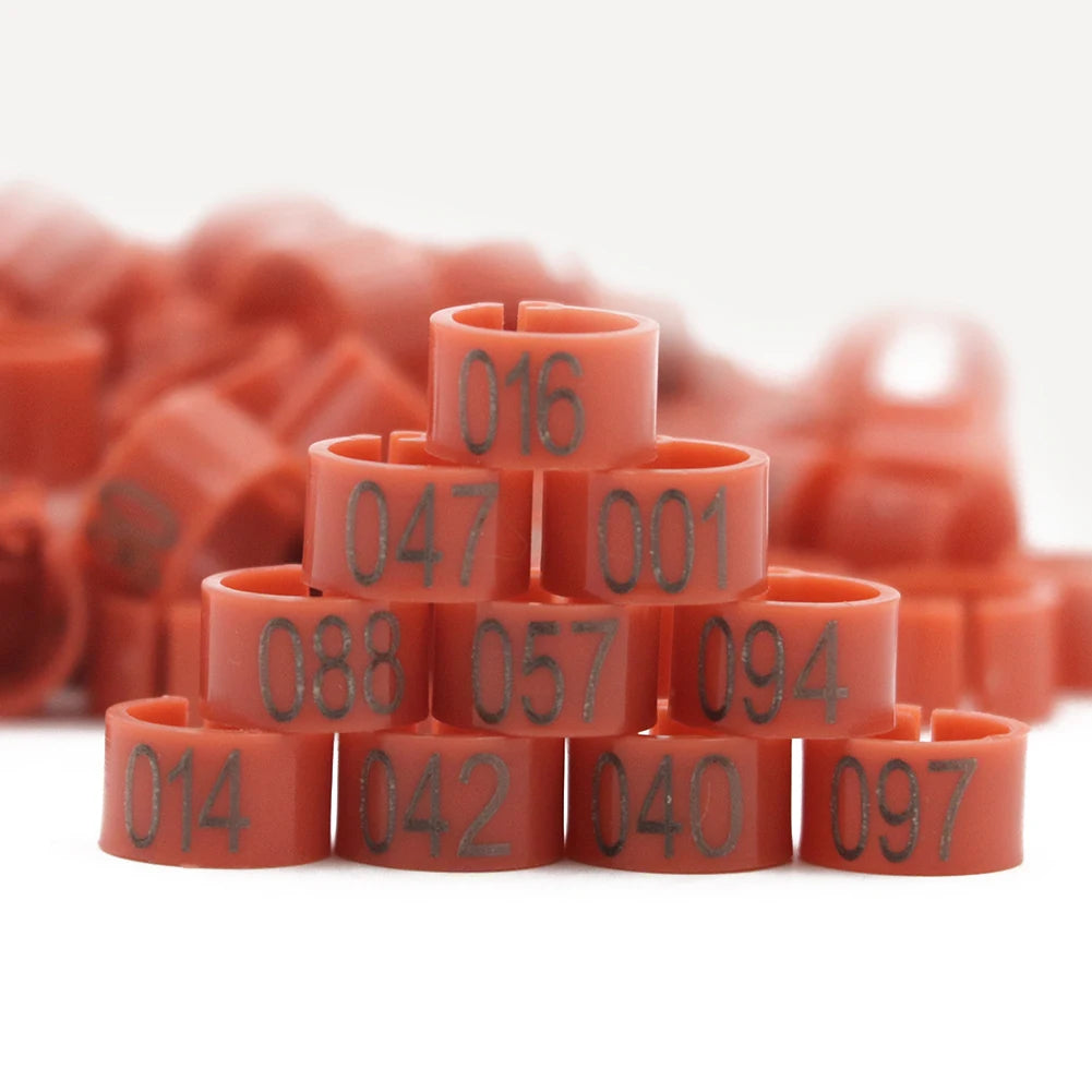 Anillos para Pies de Paloma y Aves de Corral – Pack 100