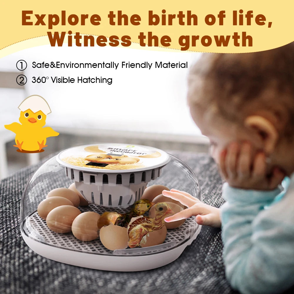 Incubadora de huevos de ganso y pollo pequeño para el hogar, agregue automáticamente el agua, Control inteligente de temperatura, 12 incubadoras
