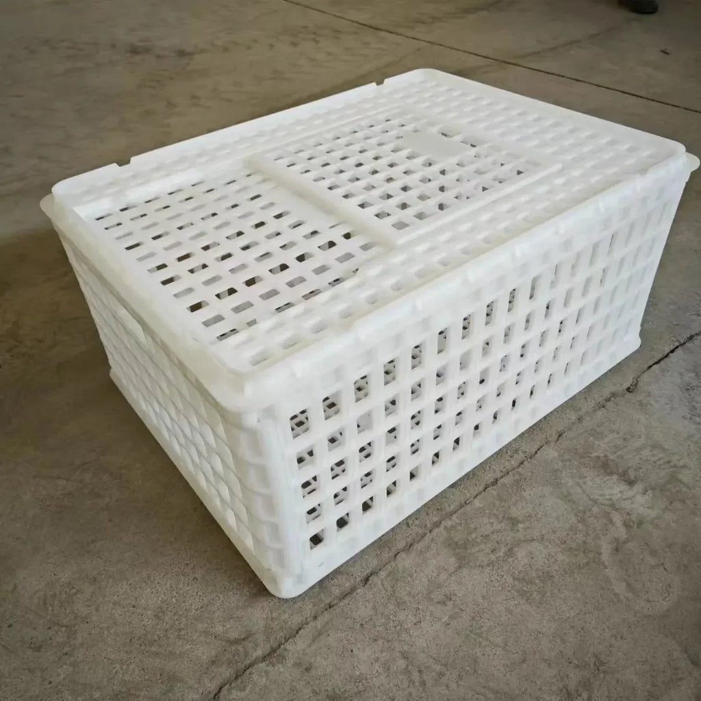 Caja de Transporte de Pollo de Plástico