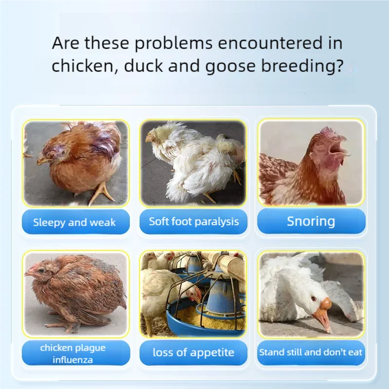 Tratamiento Líquido 250ml para Resfriado y Diarrea en Gallinas