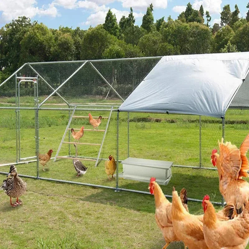 Gallinero y Jaula Grande Exterior a Prueba de Lluvia