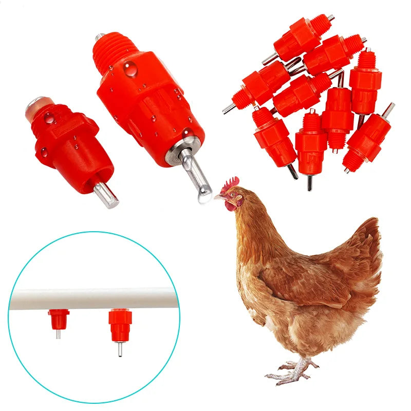 Bebederos de Pezón Automáticos para Pollos 10/15/20/50 Uds