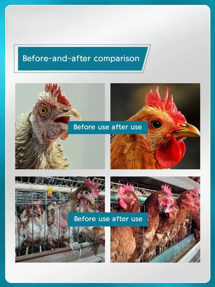 Polvo Multivitamínico 1000g para Gallinas