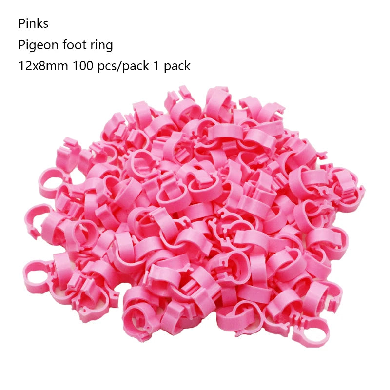 Anillos para patas de pollo, cierre de etiqueta de plástico ajustable para patas de aves de corral, Clip de trinquete Digital, herramienta de alimentación para granja de patos, palomas y gansos, 25/100