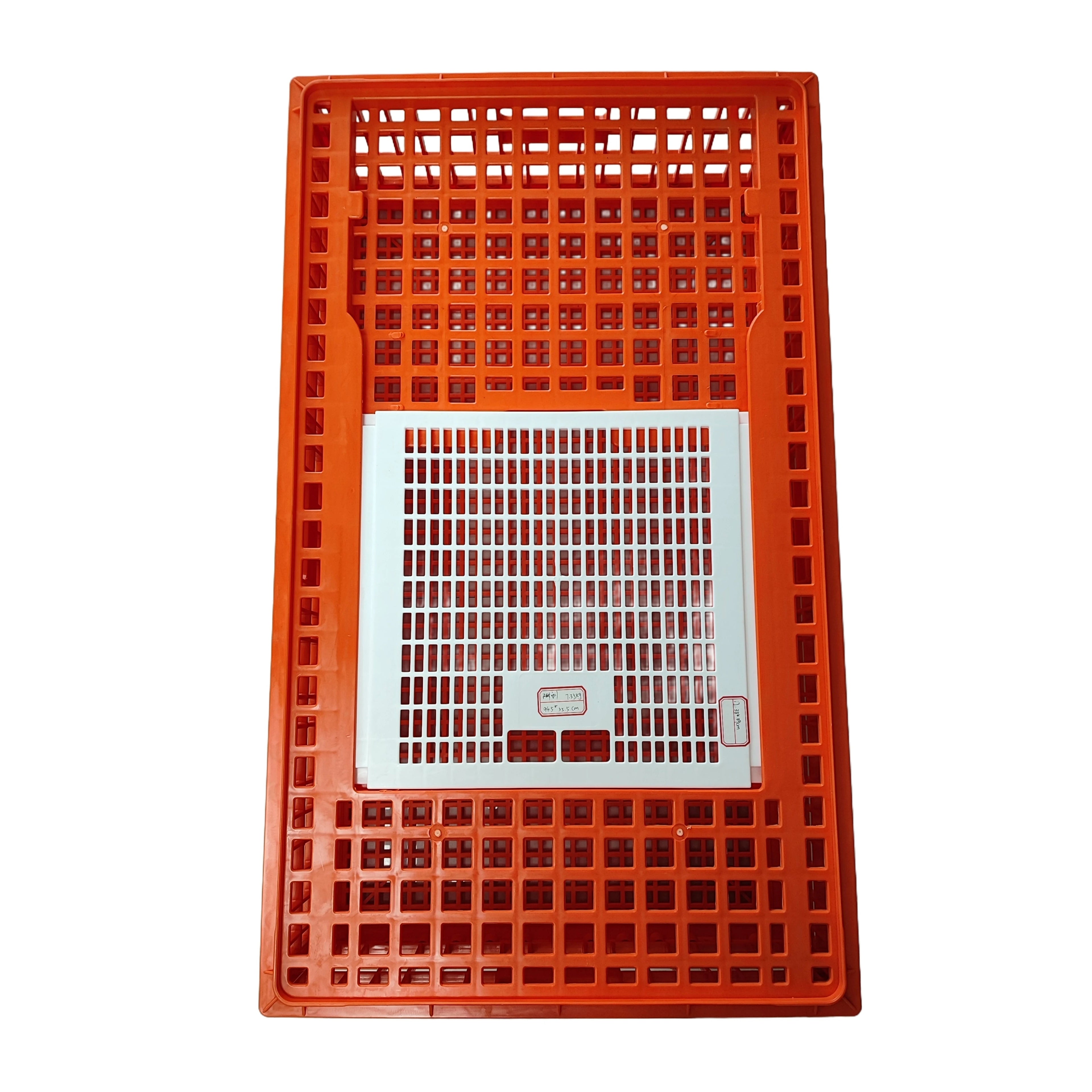 Caja de Transporte de Aves de Corral – 12 Unidades