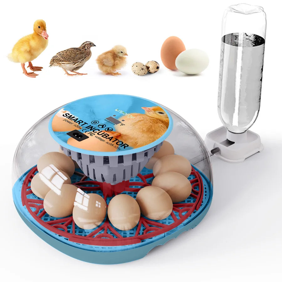 Incubadora de huevos de ganso y pollo pequeño para el hogar, agregue automáticamente el agua, Control inteligente de temperatura, 12 incubadoras
