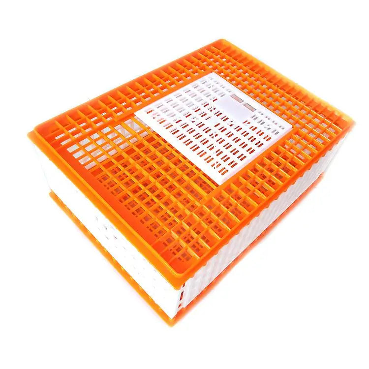 Jaula de Transporte de Pollos de Plástico – 3 Puertas