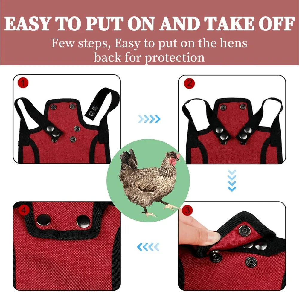 Sillín Protector Ajustable para Gallinas Chaqueta Plumas