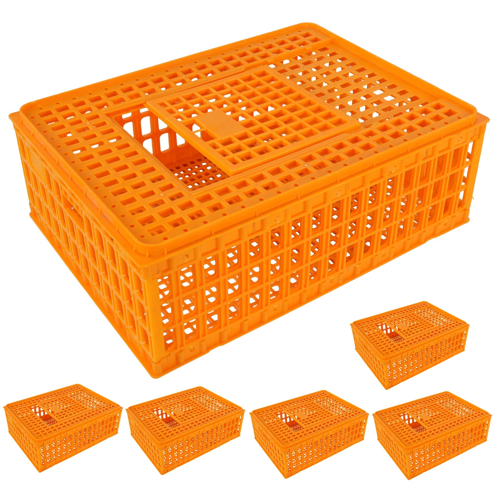 Jaula de Transporte de Plástico para Pollos