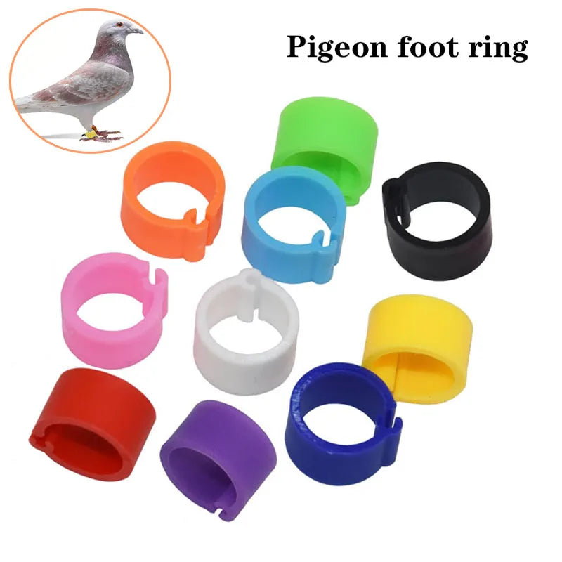 Anillos para patas de pollo, cierre de etiqueta de plástico ajustable para patas de aves de corral, Clip de trinquete Digital, herramienta de alimentación para granja de patos, palomas y gansos, 25/100