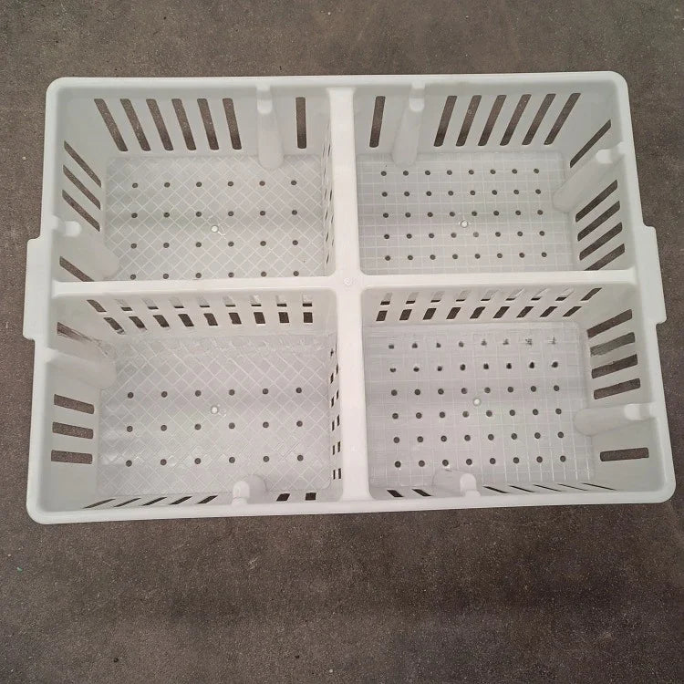 Jaula de Transporte de Plástico para Pollitos