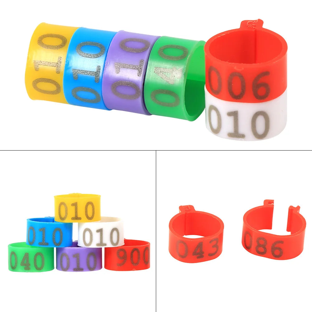 Anillos Numerados de Plástico para Patas de Aves – Pack 100 (16mm, 6 Colores)