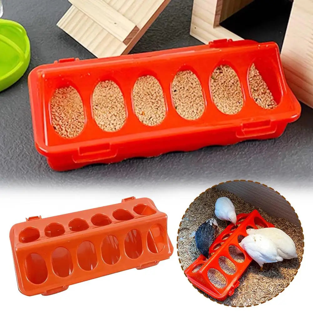 Comedero Automático y Bebedero para Pollos