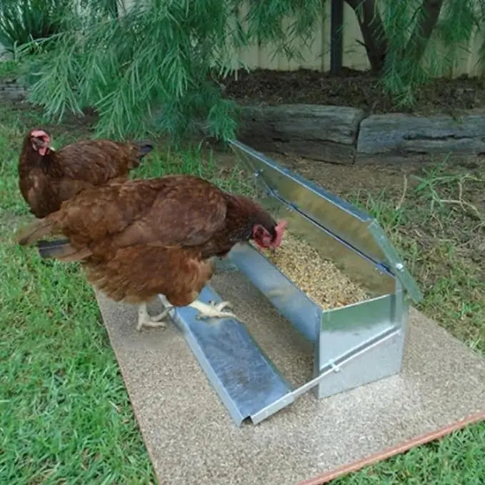 Comedero Automático de Acero Inoxidable 11LB para Gallinas