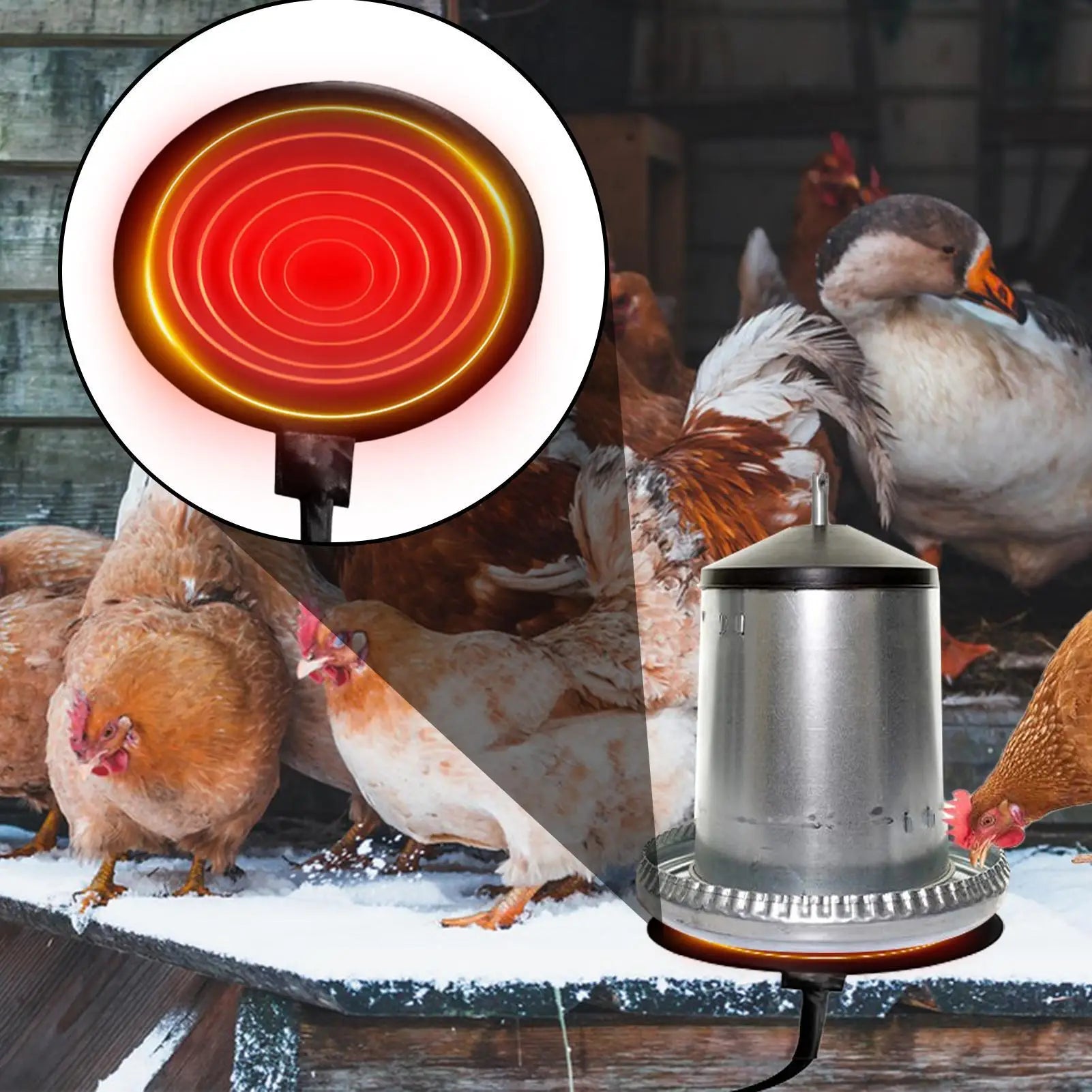 Calentador 220V para Bebedero de Gallinas