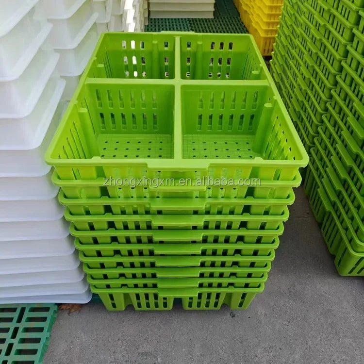 Jaula de Transporte de Plástico para Pollitos