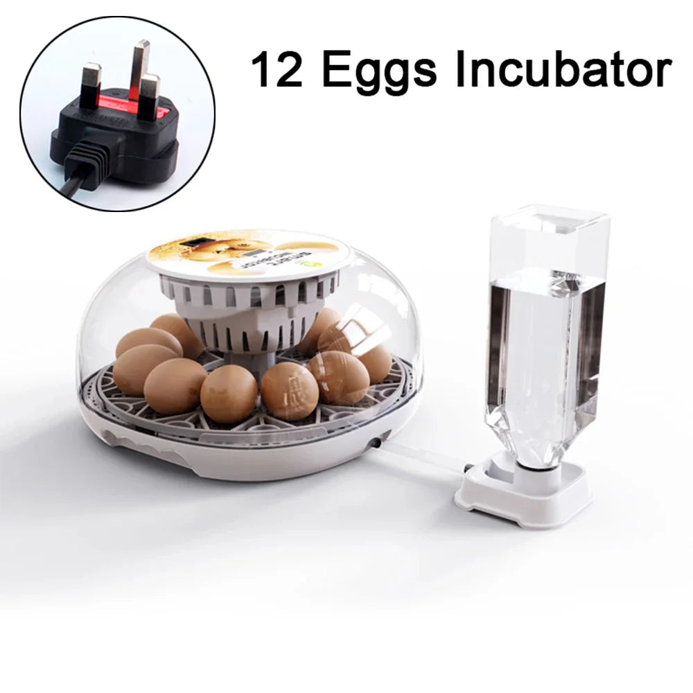 Incubadora de huevos de ganso y pollo pequeño para el hogar, agregue automáticamente el agua, Control inteligente de temperatura, 12 incubadoras