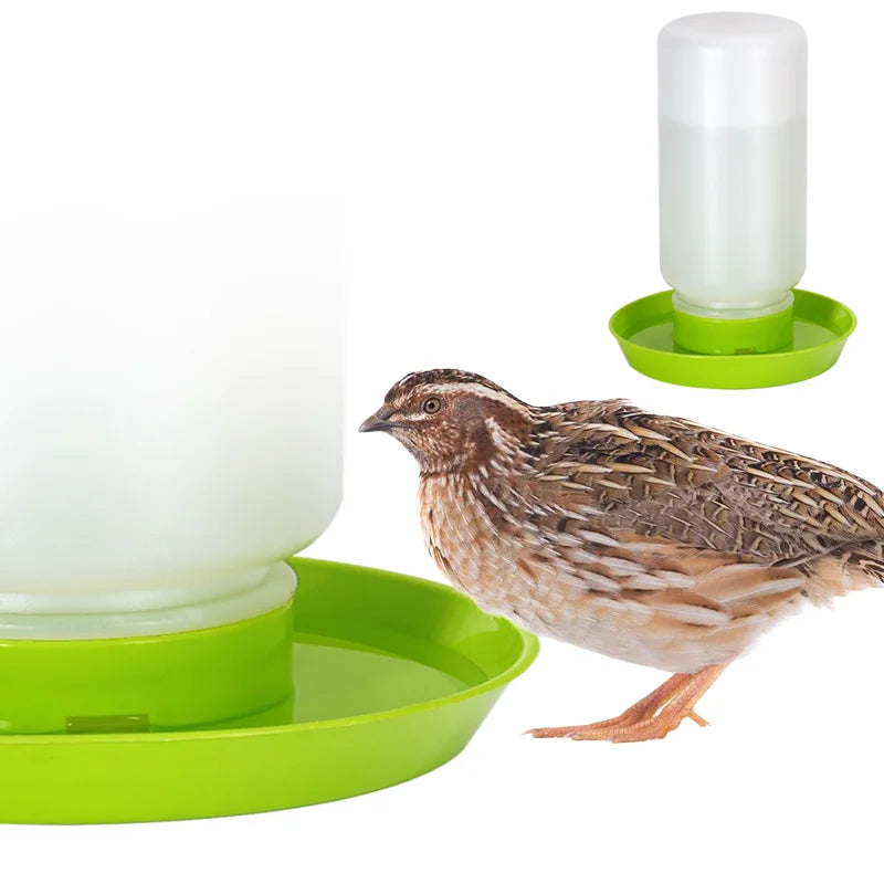 Dispensador Automático de Agua 1L para Gallinas