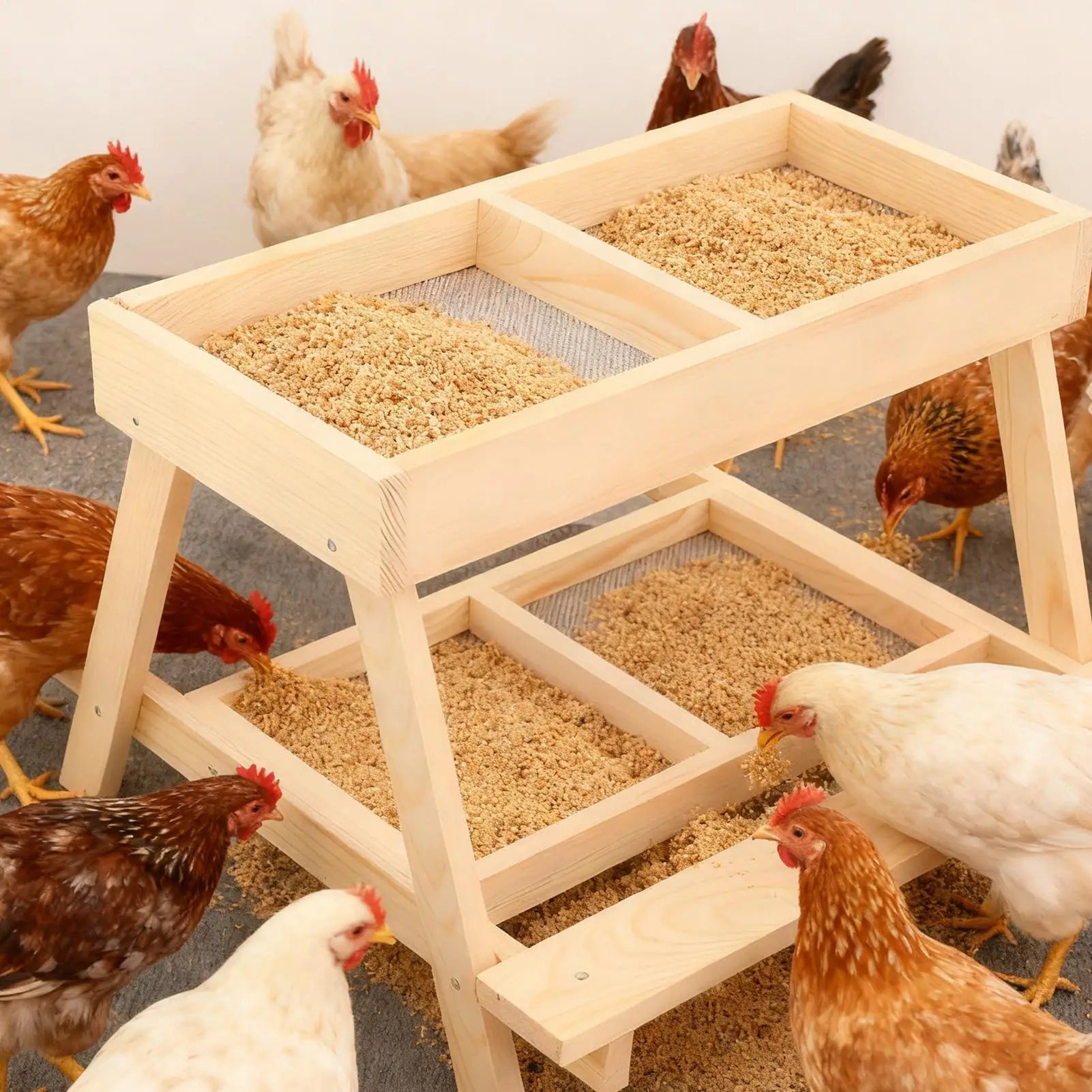 Mesa de Alimentación Doble Capa para Gallinas