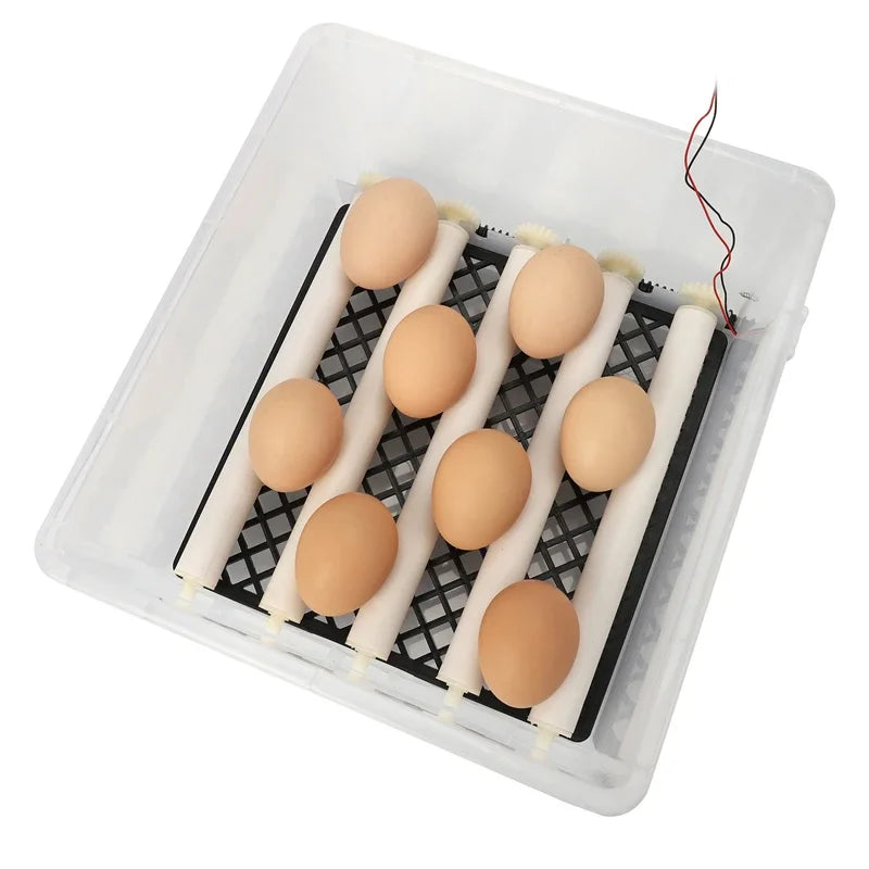 16 Eggs Farm Poultry Fully Automatic Turning Egg Incubator Dual-Electric Mini Household Brooder for Chicken Goose Duck Birds