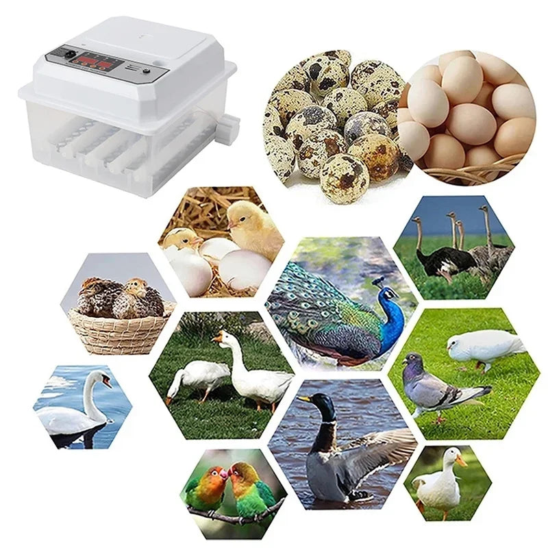 16 Eggs Farm Poultry Fully Automatic Turning Egg Incubator Dual-Electric Mini Household Brooder for Chicken Goose Duck Birds