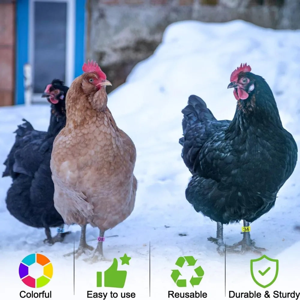 Anillos Numerados para Pies de Pollos y Aves de Corral