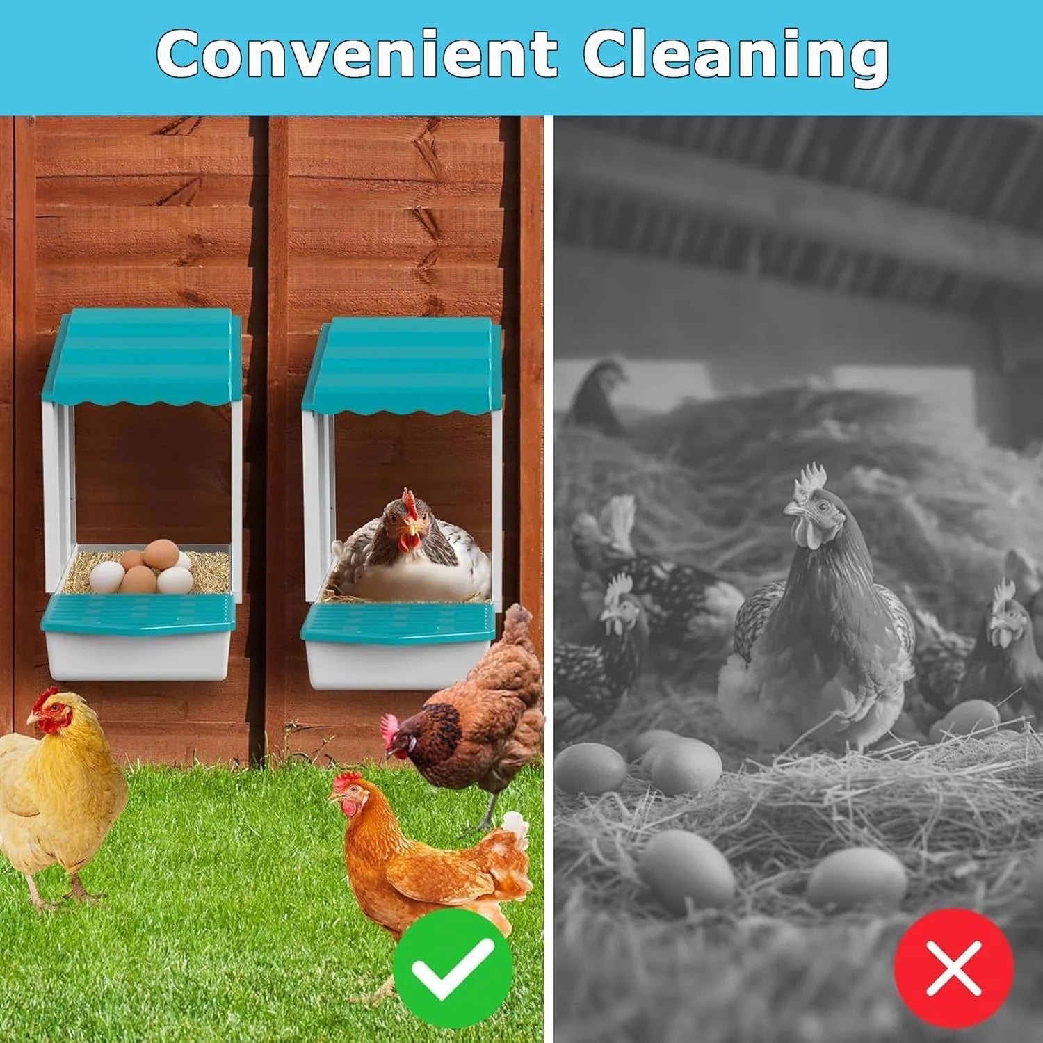 Cajas de Nido de Pollo de Plástico con Sistema de Huevos Enrollables