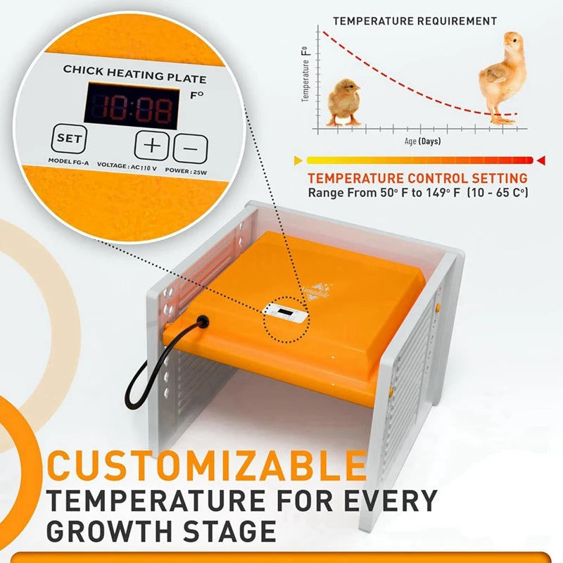 Placa Calefactora para Pollitos con Control Digital 50-149°F