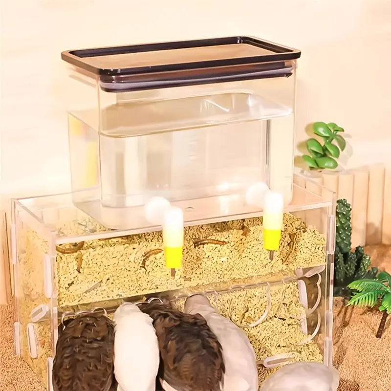 Bebedero Automático 800ml con Doble Boquilla para Gallinas