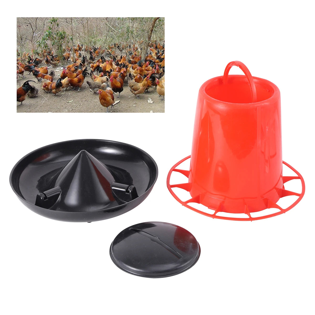 Cubo Comedero Automático para Pollos