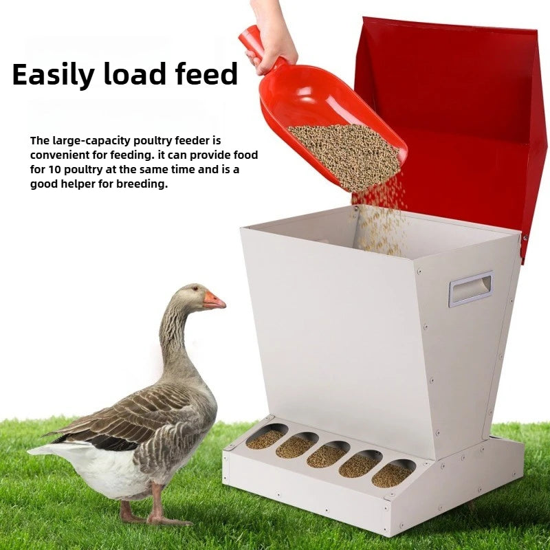 Comedero Vertical Automático de Acero para Pollos