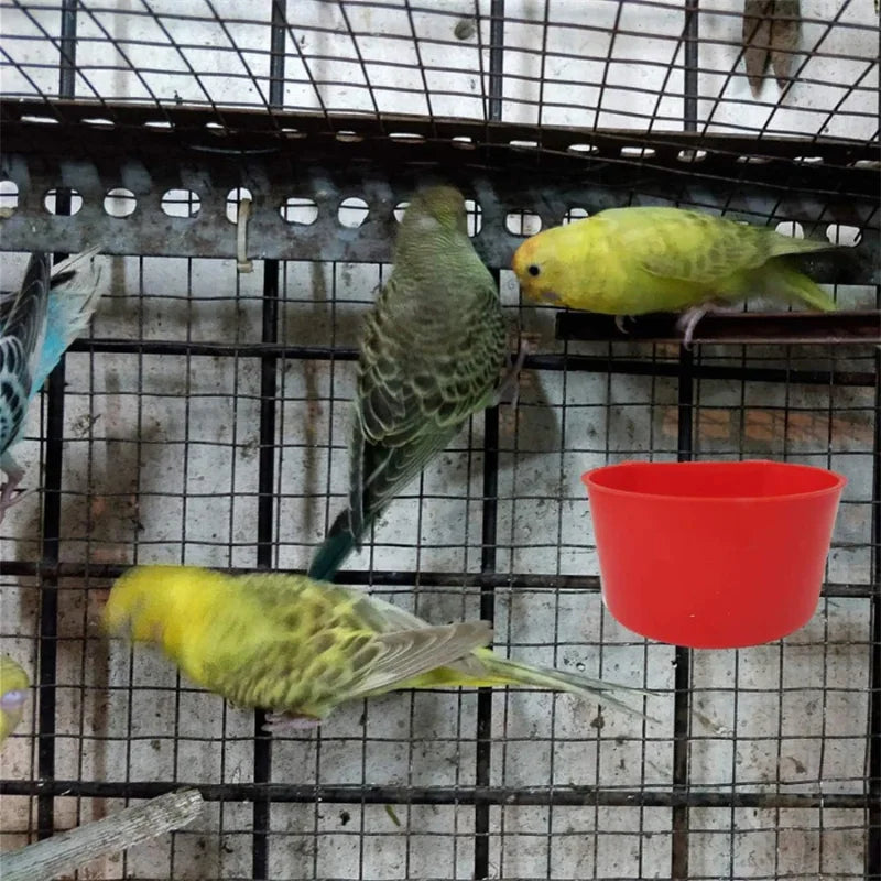 Tazas Colgantes de Agua y Comida para Gallinas 12 Uds