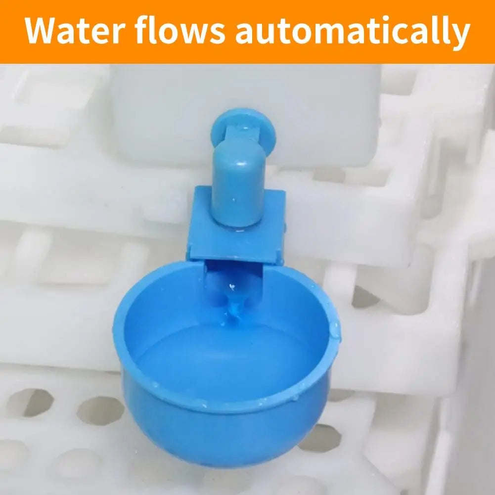 Tazas Automáticas para Aves de Corral 10/20/50 Uds