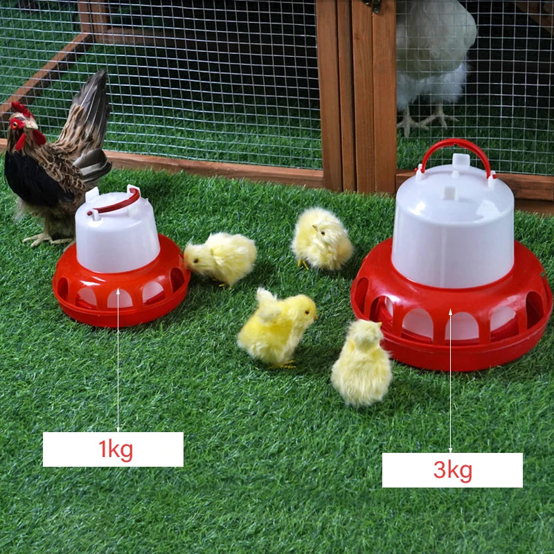 1Kg/3Kg Poultry Automatic Drinking Bucket Quail Pigeon Feeder Chicken Feeding Water Poultry Animal Feeding Tool Supply