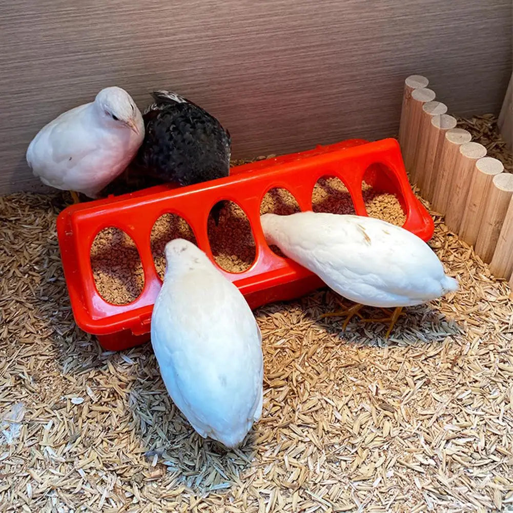 Alimentador y Bebedero Automático para Pollos