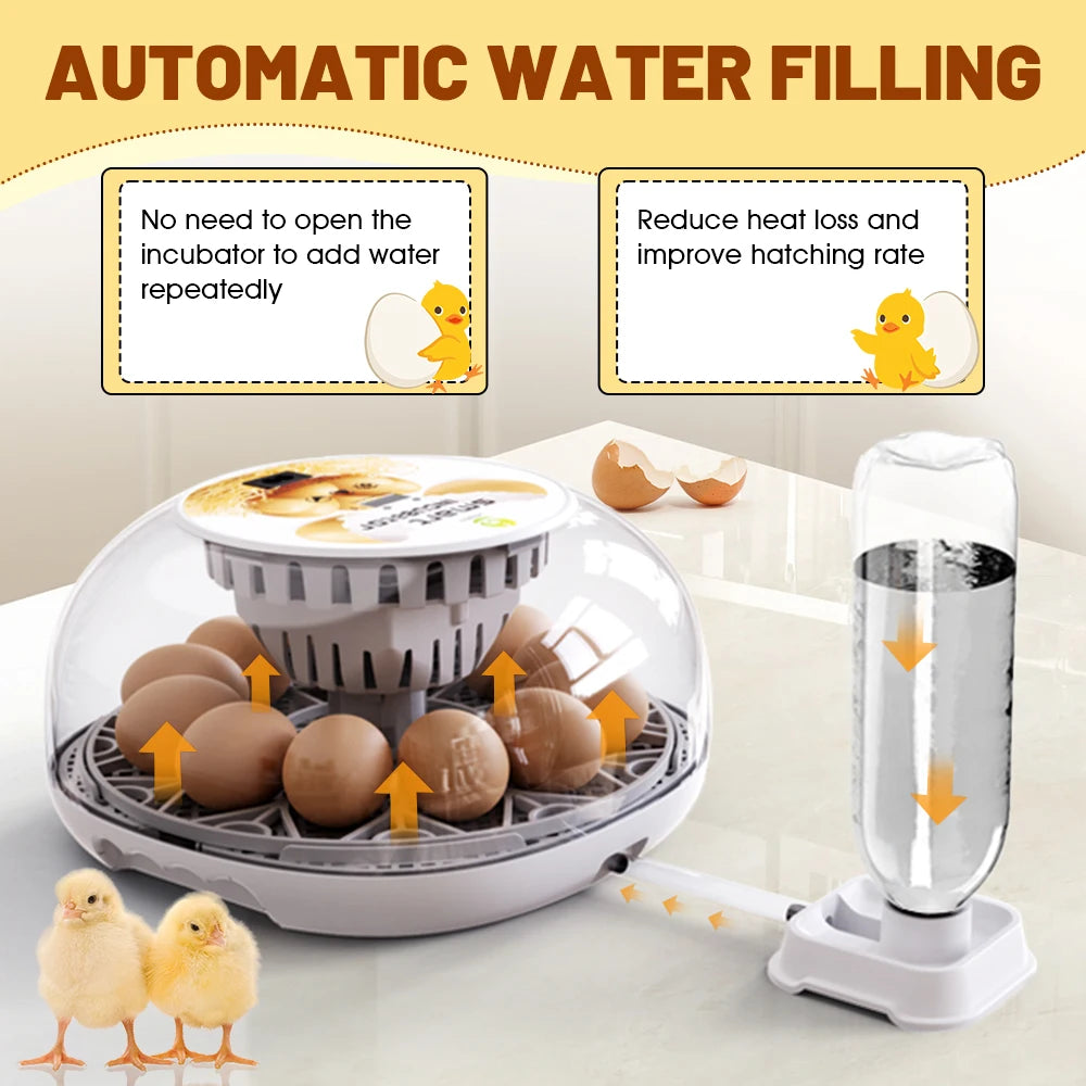 Incubadora de huevos de ganso y pollo pequeño para el hogar, agregue automáticamente el agua, Control inteligente de temperatura, 12 incubadoras