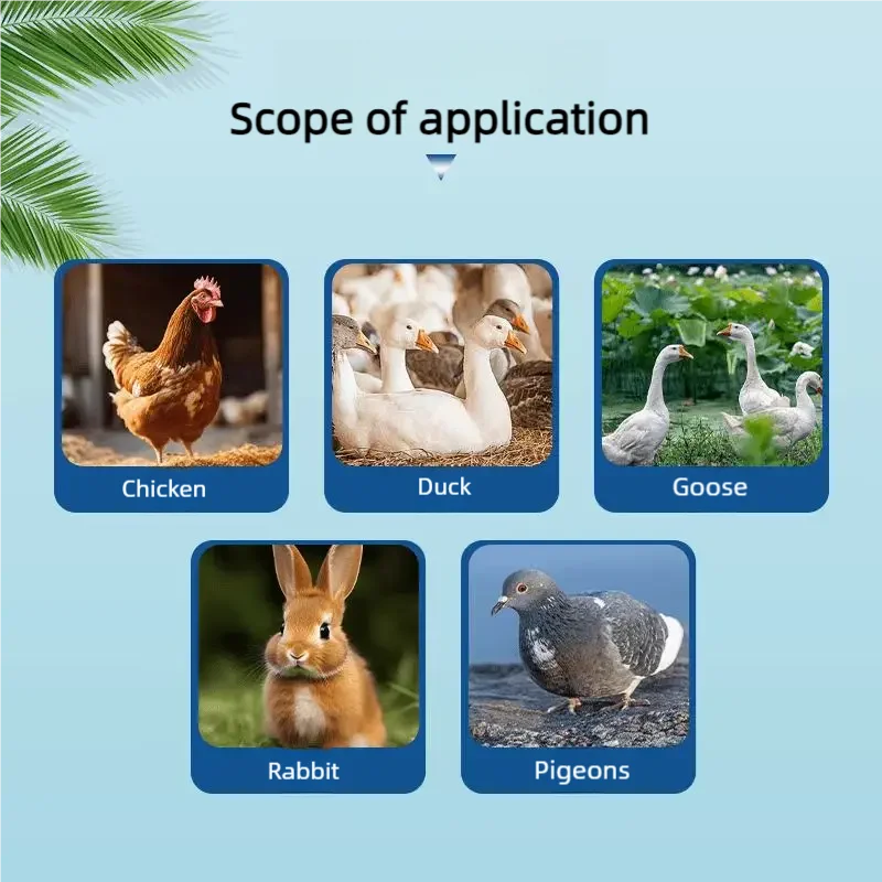 Tabletas 100 Unidades para Resfriado y Decaimiento en Gallinas