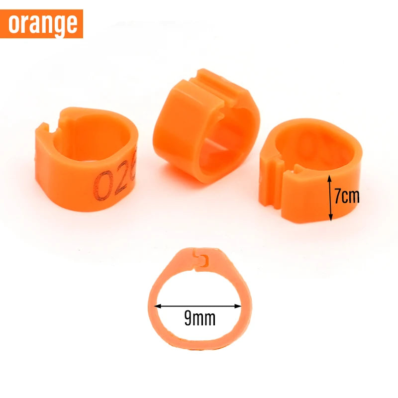 Anillos para Pies de Paloma y Aves de Corral – Pack 100
