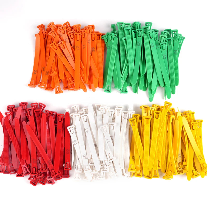 Anillos Ajustables para Patas de Pollo – Pack 50/100 Uds.