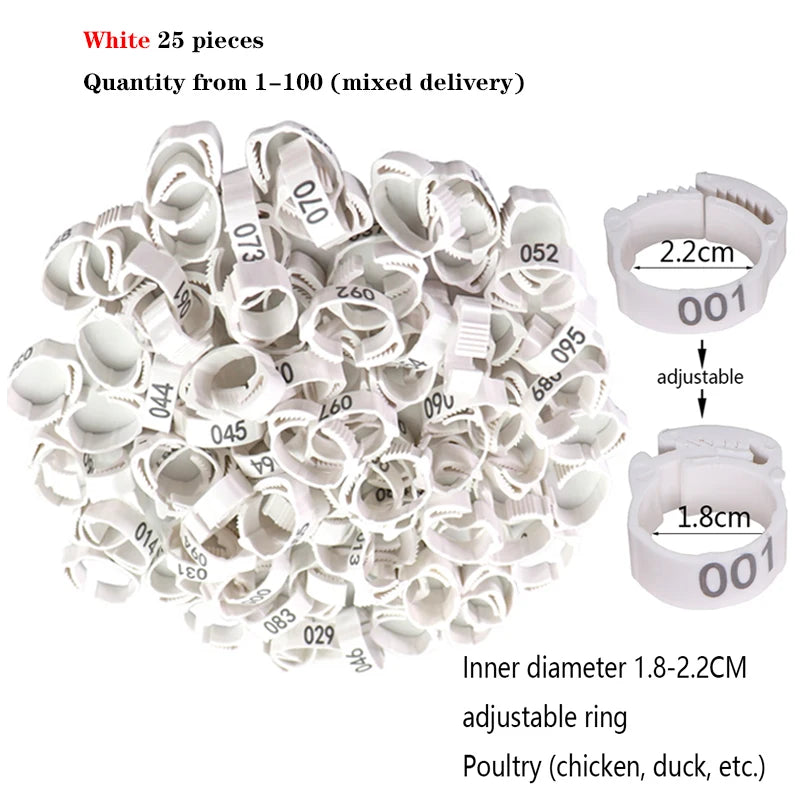 Anillos para patas de pollo, cierre de etiqueta de plástico ajustable para patas de aves de corral, Clip de trinquete Digital, herramienta de alimentación para granja de patos, palomas y gansos, 25/100