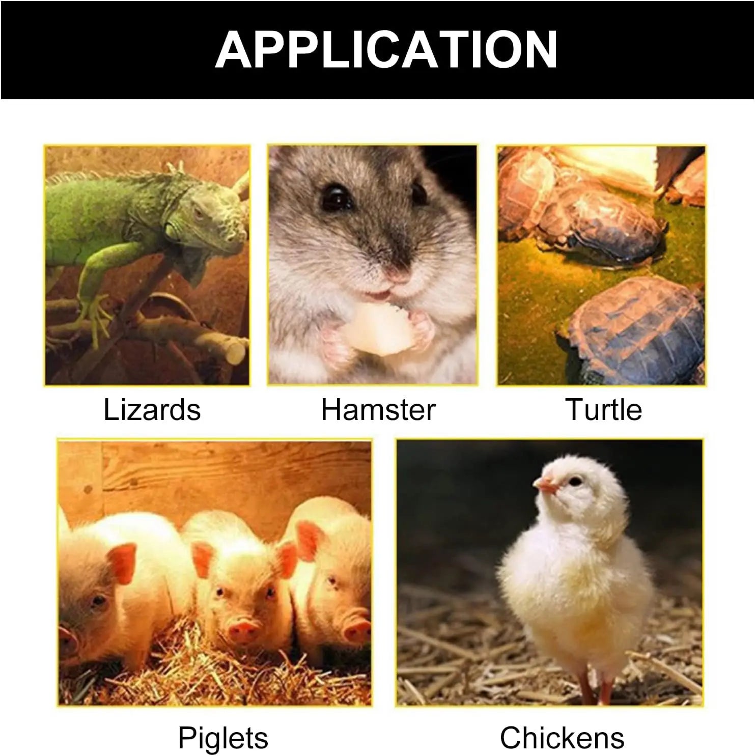 Lámpara Calefactora Azul para Aves 100-300W